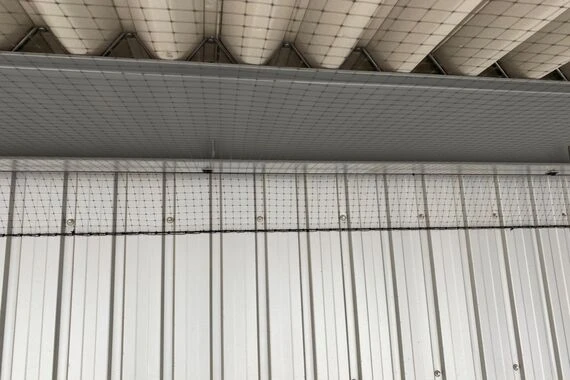 防鳥ネット